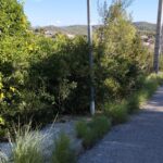 Zones oblidades de Cunit: Un testimoni en imatges